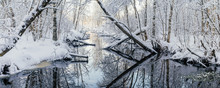Dreamlike Woodland And River By Winter Morning