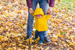 © satura_ - Father and his little son having fun in autumn park