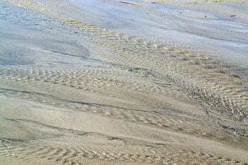 Wall Mural - wet beach scenery