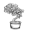 Handdrawn decorative asian bonsai tree in the pot growing on a rock with branched trunk and conifer foliage.