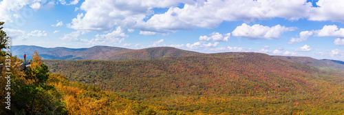 Fotografie, Obraz Panoramic view from Tibbet Knob, West Virginia