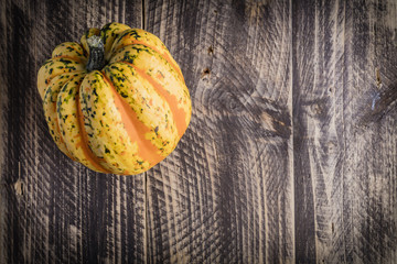 fall autumn thanksgiving concept background backdrop walnut pumpkin decoration