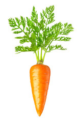 Wall Mural - carrot isolated on white background