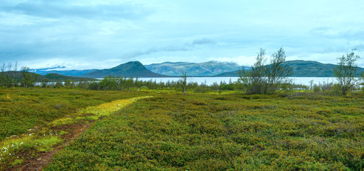 Tornetrask lake summer view ( Lapland, Sweden)