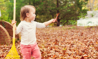 Toddler girl raking leaves