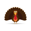 turkey flat icon.