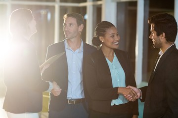 Wall Mural - Group of businesspeople shaking hands with each other