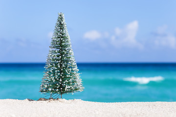 Christmas fir tree on sandy beach