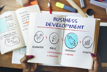 Wall Mural - Business Development Plan Growth Strategy Concept