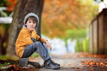 Autumn Portrait Of Beautiful Boy In The Park