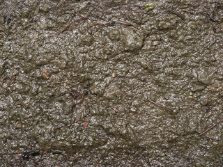 Poster - Mud texture or wet brown soil as natural organic clay and geological sediment mixture as in roughing it in a dirty muddy country road bog after the rain or rainy season found in a damp moist climate