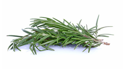 Rosemary isolated on white background