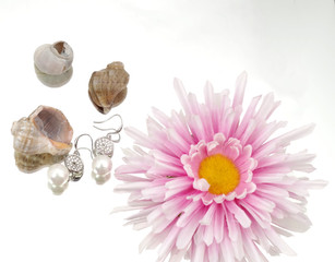 Pearl earrings advertisment - shells and flowers on mirrorlike background