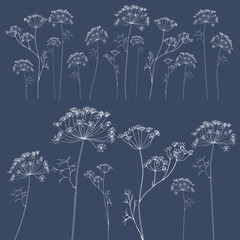 Dill or fennel flowers background.