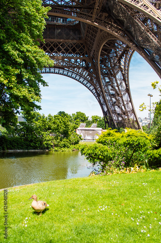 Eiffel Tower view from Champ de Mars in Paris, France Poster