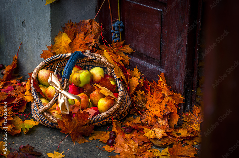 Jabłka w koszu pośród jesiennych liści klonu na ganku - obrazy, fototapety, plakaty 