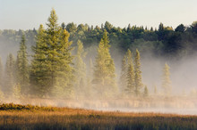 Mist Over A Lake In The Morning In Algonquin Park; Ontario, Canada