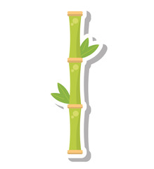 Wall Mural - bamboo plant spa isolated icon vector illustration design