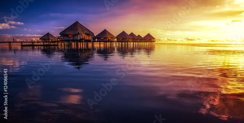 Zdjęcie XXL Wiosna na Tahiti
