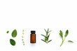 Bottle of essential oil with  fresh herbal sage, rosemary, thyme