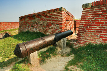 Wall Mural - A cannon at the Baba Vida fortress, Vidin, Bulgaria