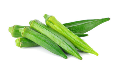 Poster - green roselle on white background