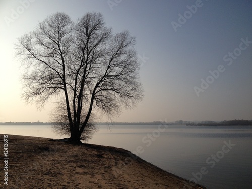Fotografie, Obraz Eenzame boom op een verlaten eiland met een zonsondergang