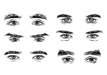 Vector Part Of The Male Person S Eyes And Eyebrows.