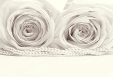 Beautiful White Roses Toned In Sepia As Wedding Background. Soft