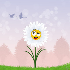 Sticker - funny daisy in the grass