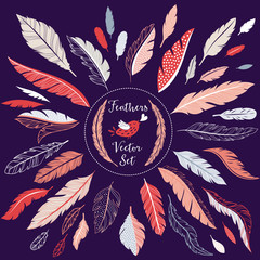 Sticker - Set of vector feathers for your design