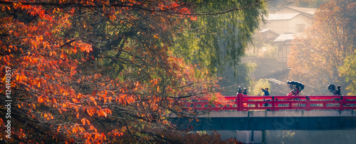 Fotografía autumn morning in takayama