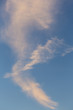 Wolkenvogel
