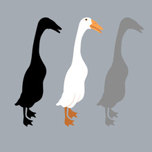 Peking Duck Style Vector Illustration Flat Set