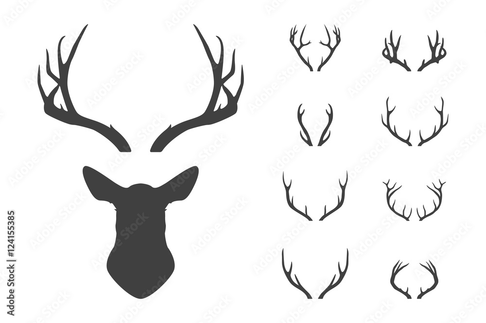 Deer s head and antlers set. Stock Vector | Adobe Stock