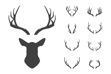 deer s head and antlers set.