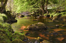 Beautiful Glencree River Flowing Through Magical Landscape