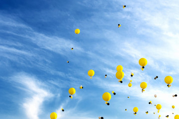 helium balloons in the blue sky