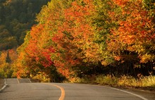 Fall Color And Country Road, Mont Tremblant, Quebec, Canada