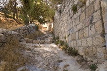Pathway, Mount Of Olives, Jerusalem, Israel