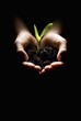© Designpics - Hands Holding A Seedling