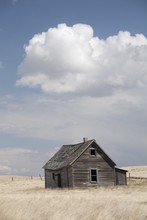 Old Wooden House In Field