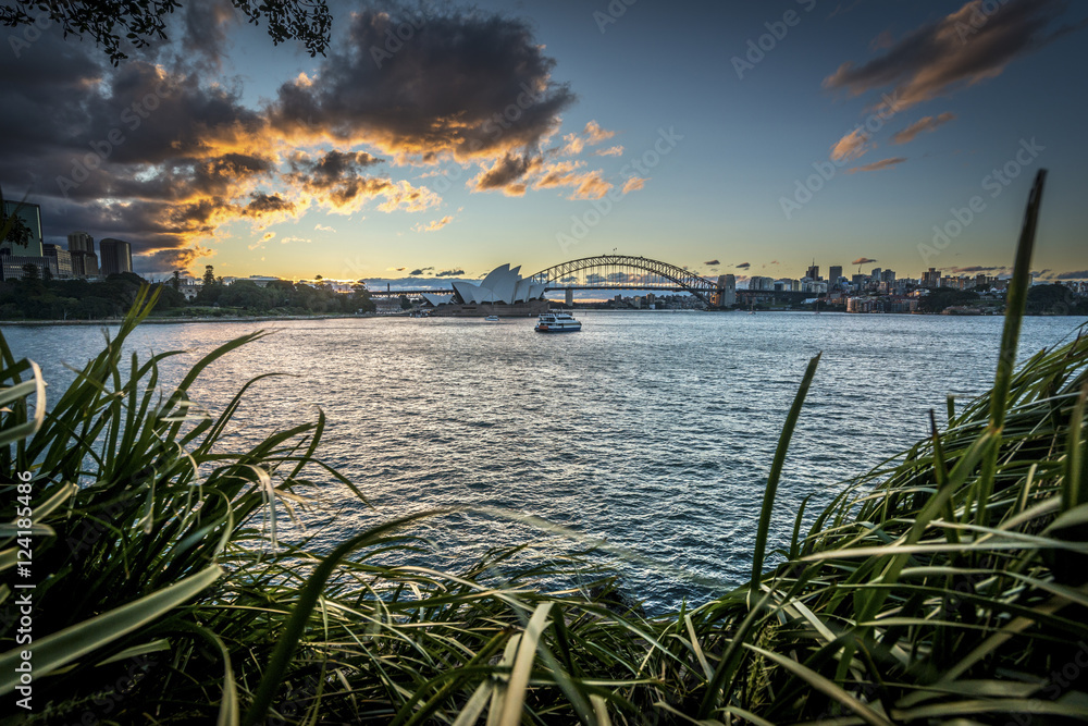 SYDNEY AUSTRALIA SEPTEMBER 16, 2016 : View Of Sydney Opera House Wall