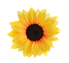 Artificial Sunflowers Isolated On White Background.