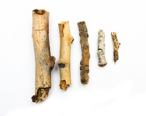 Wall Mural - Twigs, set macro dry branches birch isolated on white background, with clipping path