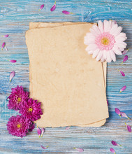 Greeting Card With Old Blank Paper Sheet, Chrysanthemum And Pink Gerbera Daisy Flowers On Blue Wooden Background