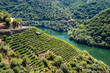 Vineyards along Sil River, Ribeira Sacra, Lugo (Spain)