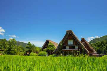 Historical Japanese village Shirakawago in spring