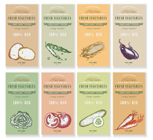 Vegetable Seeds Packets Template