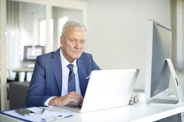 Wall Mural - Financial businessman at work. Shot of a senior financial manager working at office in front of laptop and and doing some paperwork. 